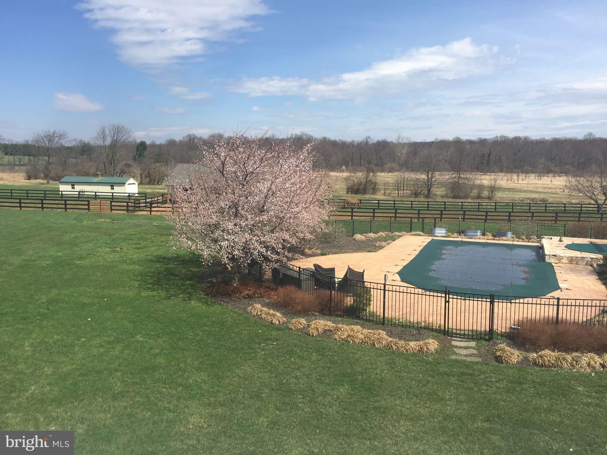 35550 W GREYFRIAR DRIVE