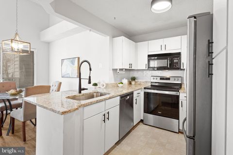 11731 SUMMERCHASE CIRCLE E 1731E RESTON VA 20194