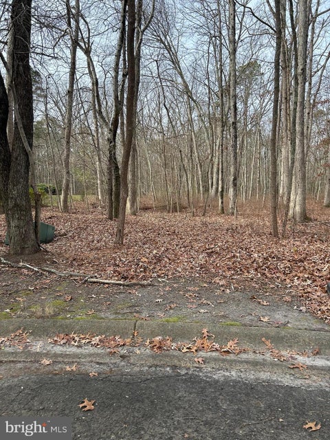 Vacant Land For Sale - 30 Muskingum Drive<br/> Burlington County, SHAMONG, NJ 08088