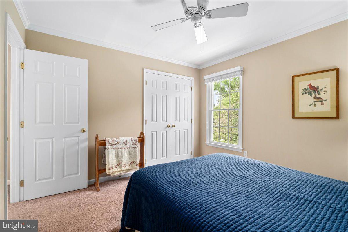 FOXFIELD AT MIDDLETOWN - Residential