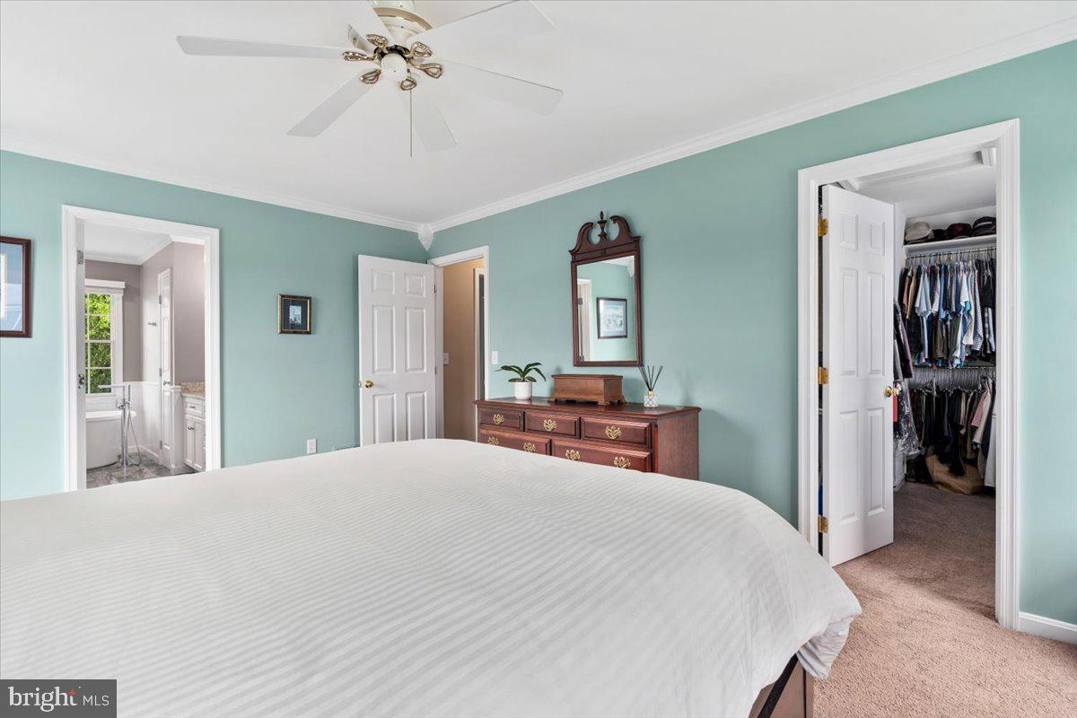 FOXFIELD AT MIDDLETOWN - Residential