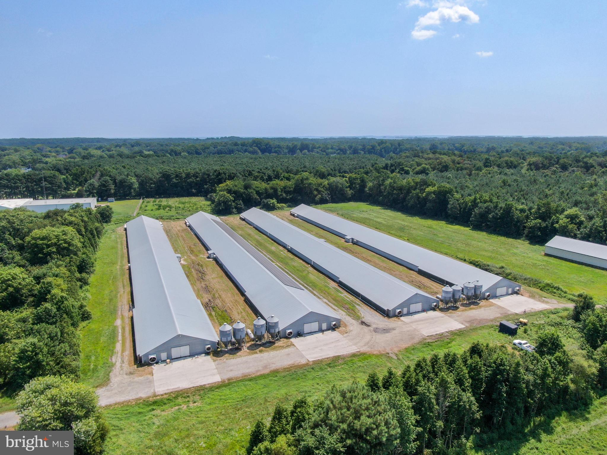 Four house poultry farm located off of Onley Rd in Girdletree MD totaling +/- 26.5 acres with approximately 14.5+/- acres of timber. Poultry houses are all 50x500s built in 2005 currently growing for Mountaire. Owner recently completed +/- $75,000 in updates in order to switch integrators from Tyson to Mountaire. All houses are wooded truss houses. Farm has 2 wells (1 new pump and both bladder tanks recently replaced). Feedlines are Choretime. Waterlines are Lubing with brand new valve nipples. Generator is 125kV with +/- 445 hours. On site solar system provides power to run the poultry operation. Solar system is leased for +/- $1,300/mo and covers roughly 75% of the total electric. Birds in on July 28th, 2023. Access via deeded right of way. No home or septic system on site. Birds went in on July 28th, 2023. Please call to schedule showing.