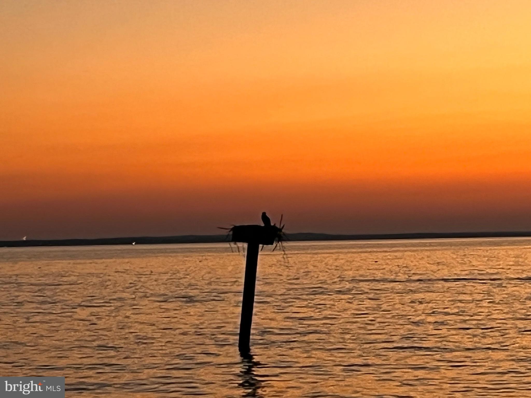 COBB ISLAND - Residential