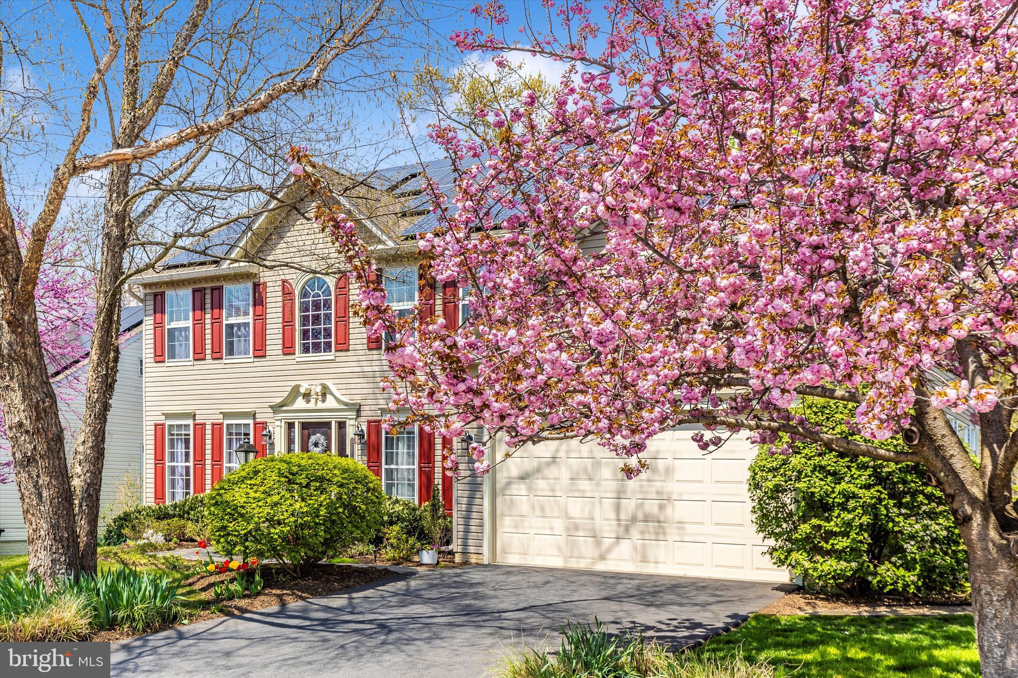 SPRING RIDGE - Residential