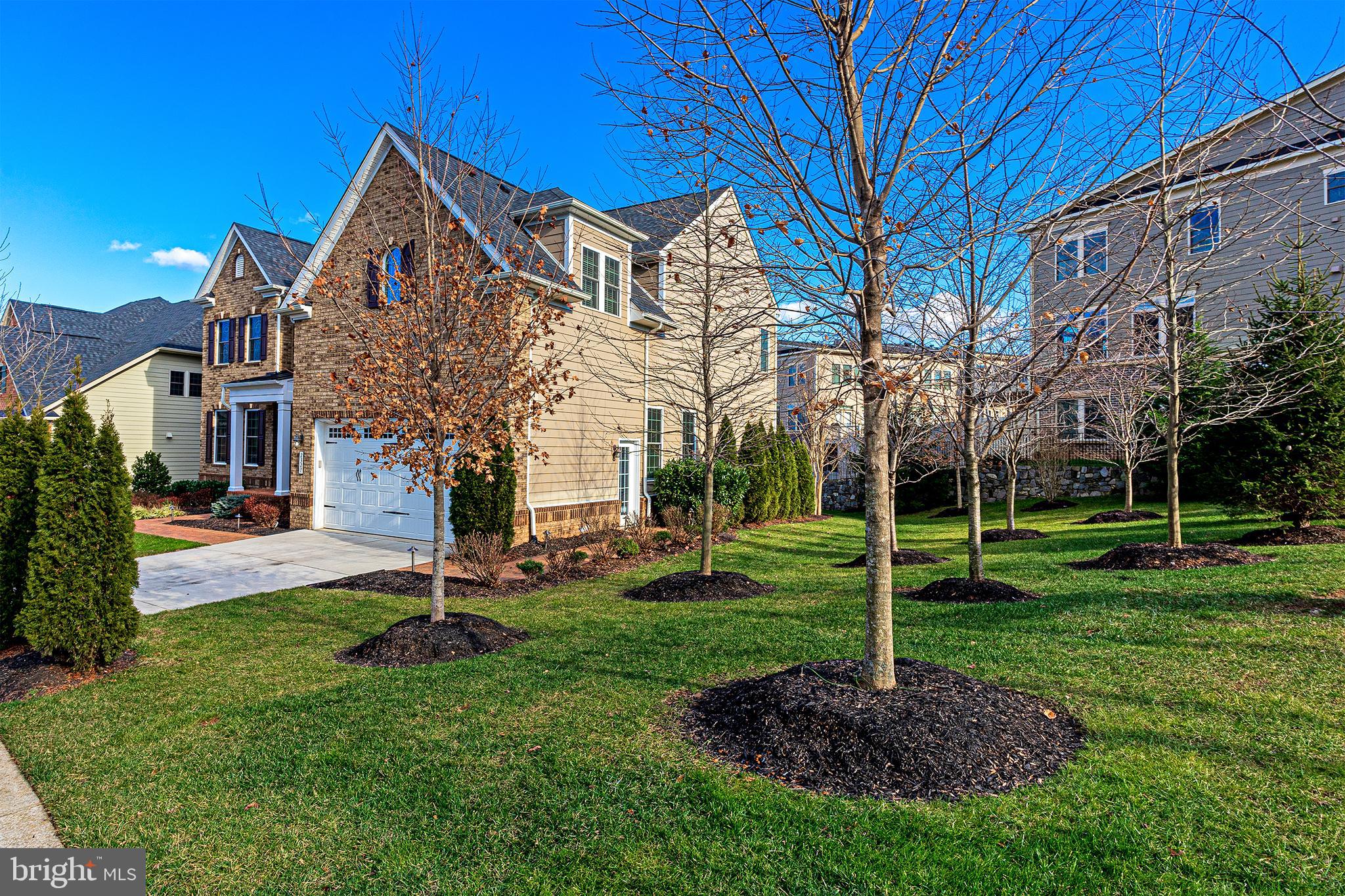 CHESTNUT PLACE - Residential