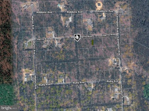 Vacant Land For Sale - Harris Avenue<br/> Cumberland County, MILLVILLE, NJ 08332