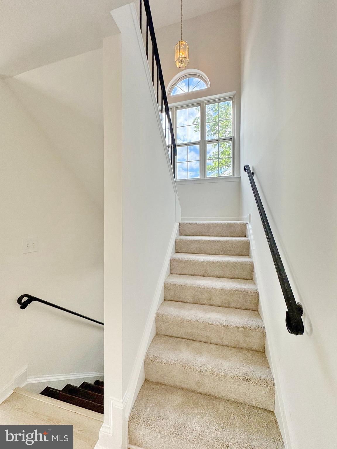 BAYSIDE TOWNHOUSES - Residential