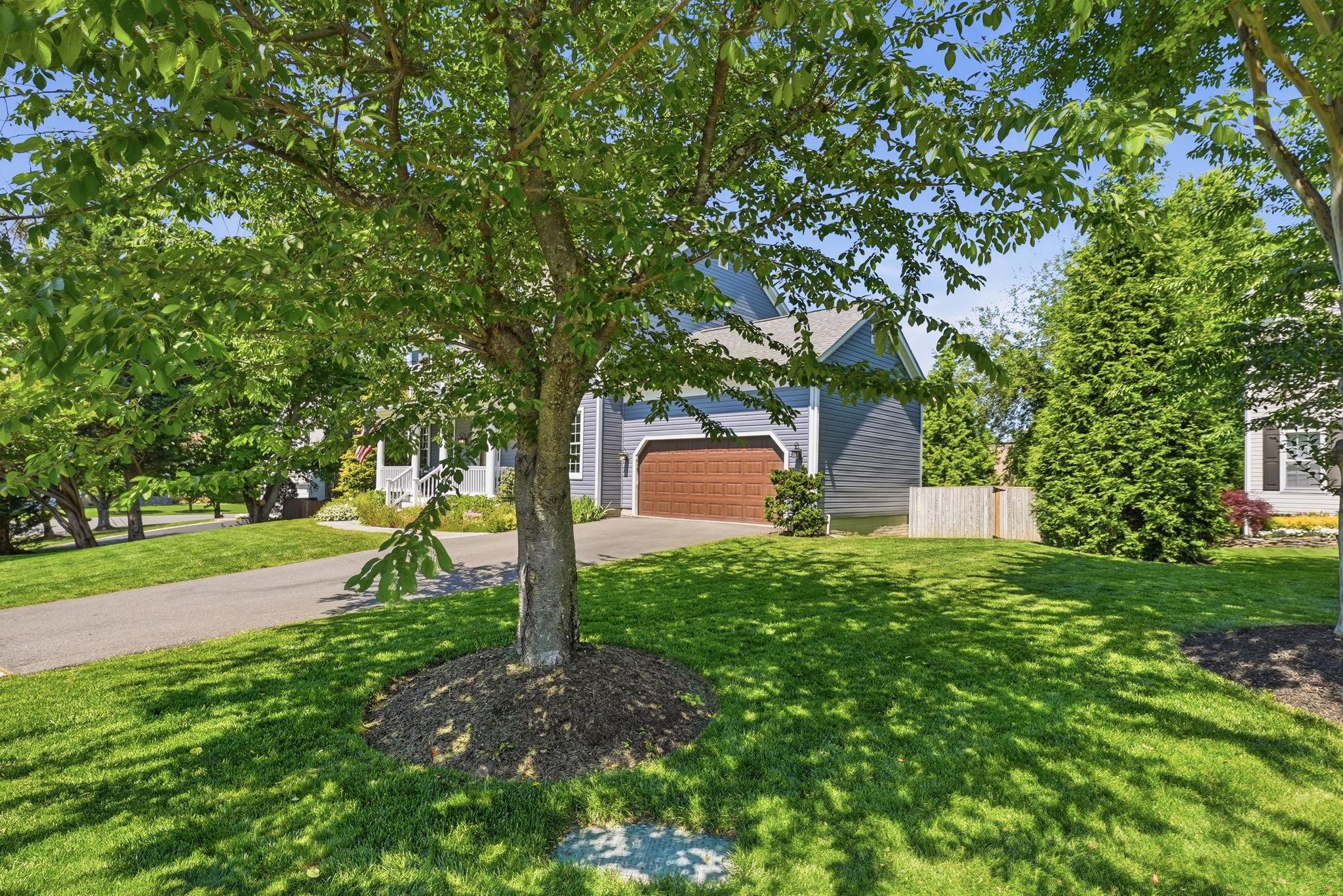 PALMER GLEN - Residential