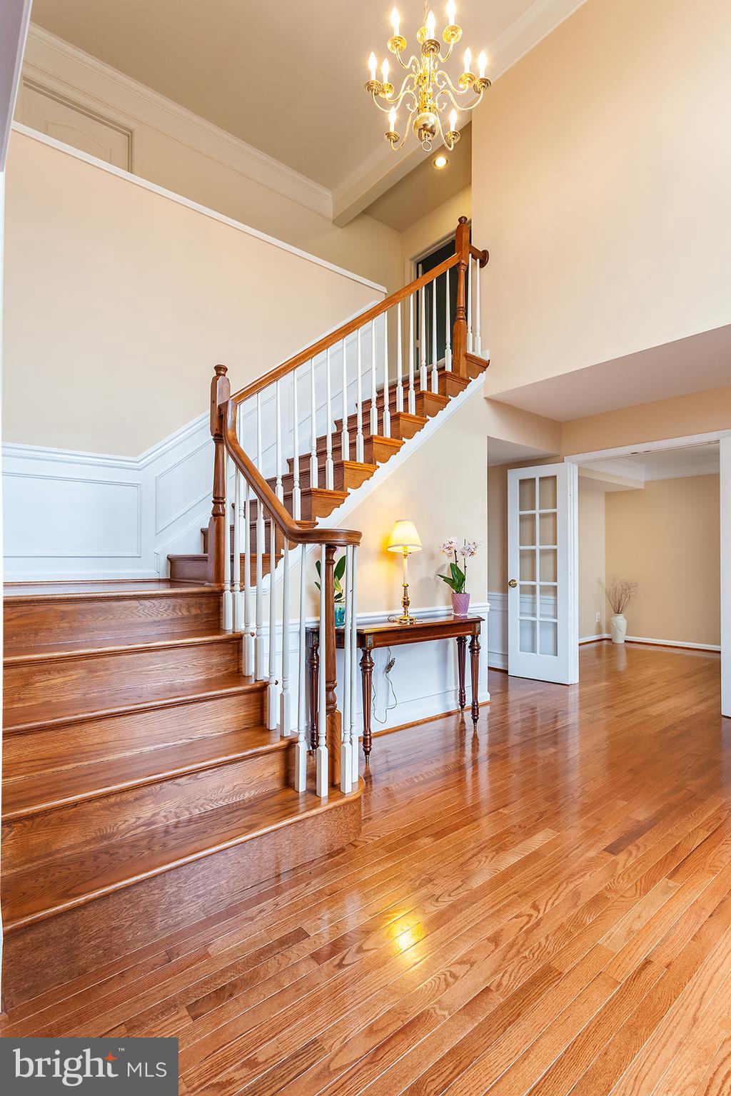 HAMPTON FOREST - Residential