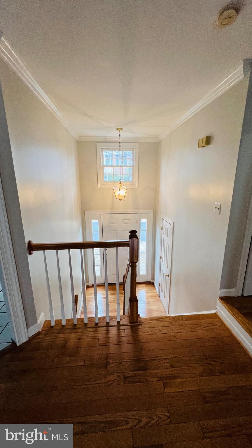 COURTHOUSE STATION - Residential Lease