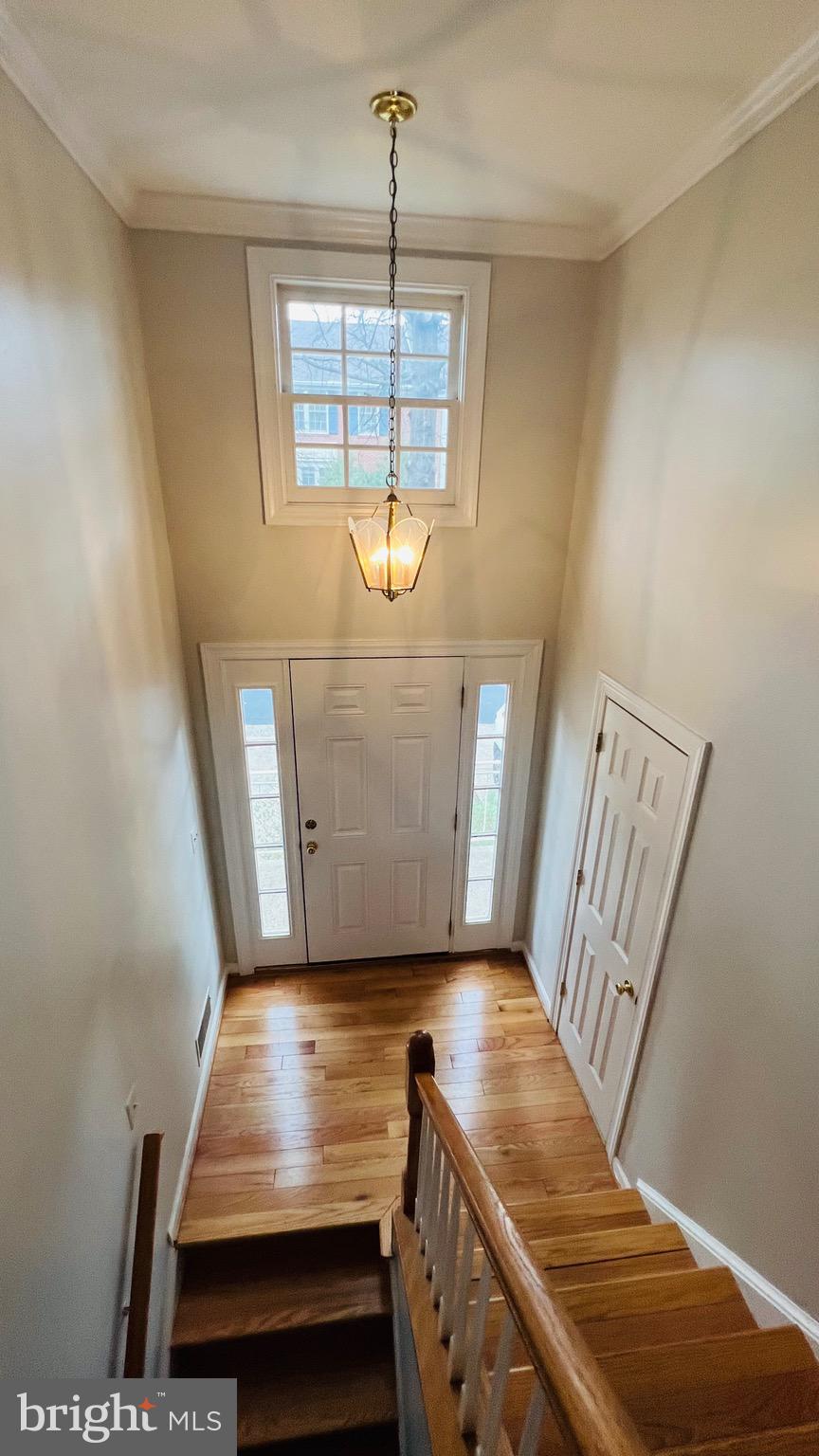 COURTHOUSE STATION - Residential Lease