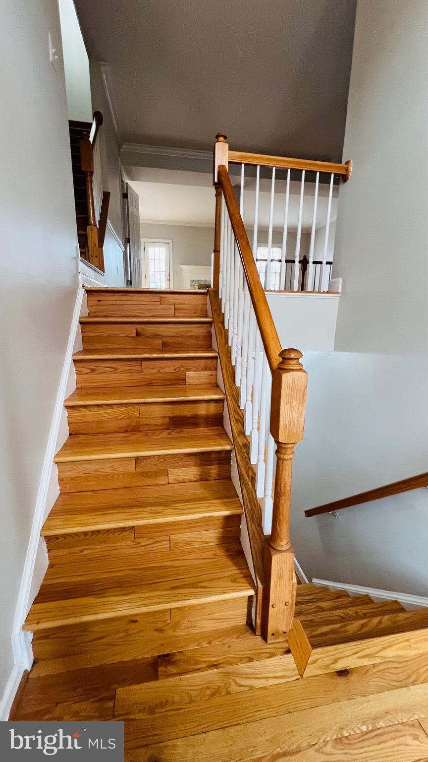 COURTHOUSE STATION - Residential Lease