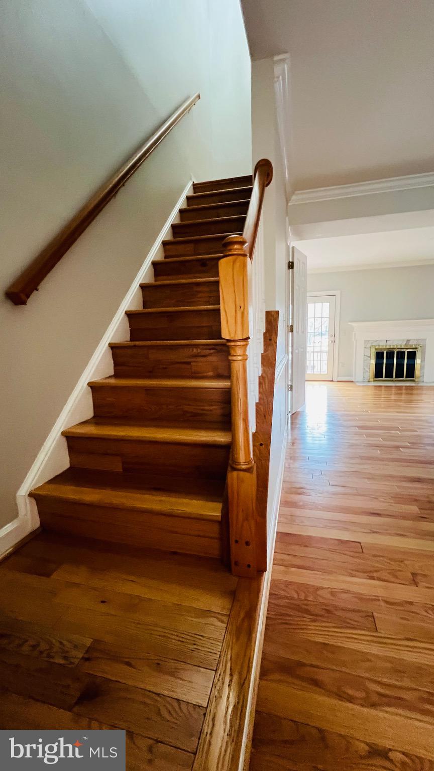 COURTHOUSE STATION - Residential Lease