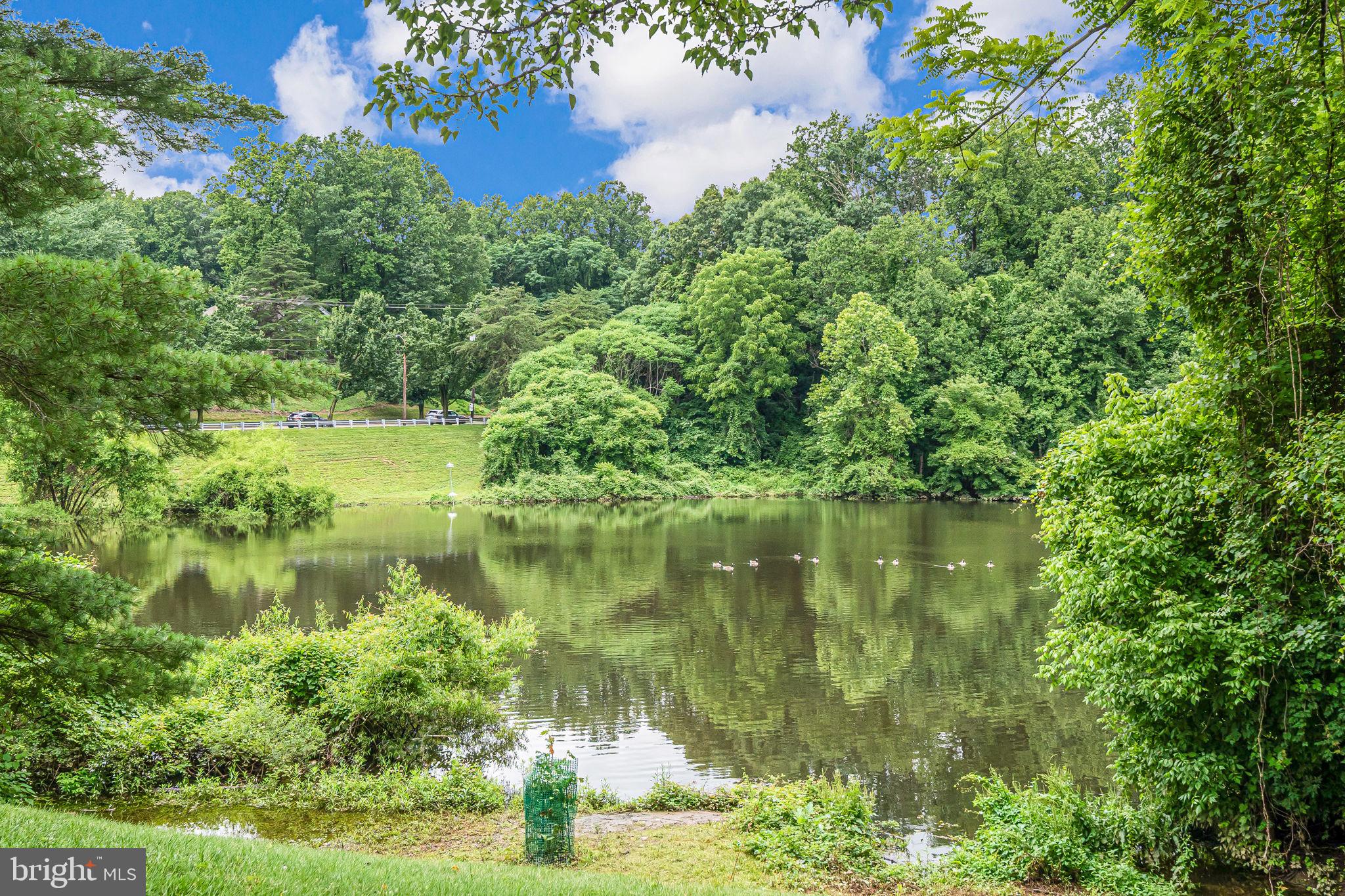 TUCKERMAN STATION - Residential