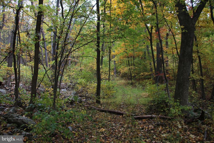 Enjoy peace and quiet while on this property in North Mountain Estates located a few miles south of Gore off of paved Back Creek Road. This property would make an ideal location for a rural mountain home for yourself or to rent out to others. Access is via the road frontage on Sundown Road and electricity is nearby. Mountain views are attainable once some tree clearing is completed. No restrictions and no HOA. Deer and turkey frequent the area along with many small game species. Only about two miles from all the swimming, boating, and fishing fun The Cove has to offer. Access to the Tuscarora Trail is also close by for those interested in hiking.

***Additional adjoining acreage available for purchase. See aerials for details.***

***4WD or AWD is required to view this property.***