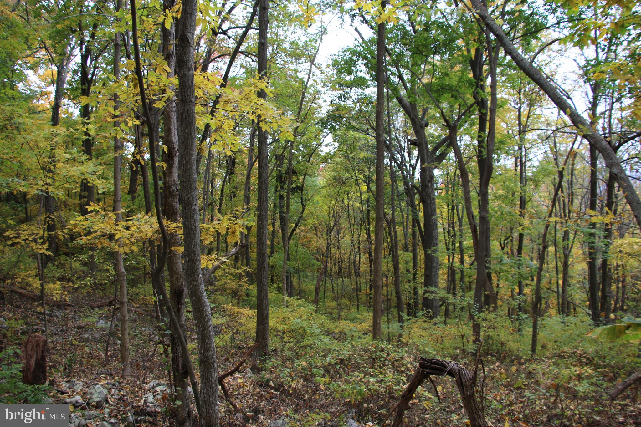 NORTH MOUNTAIN ESTATES - Land