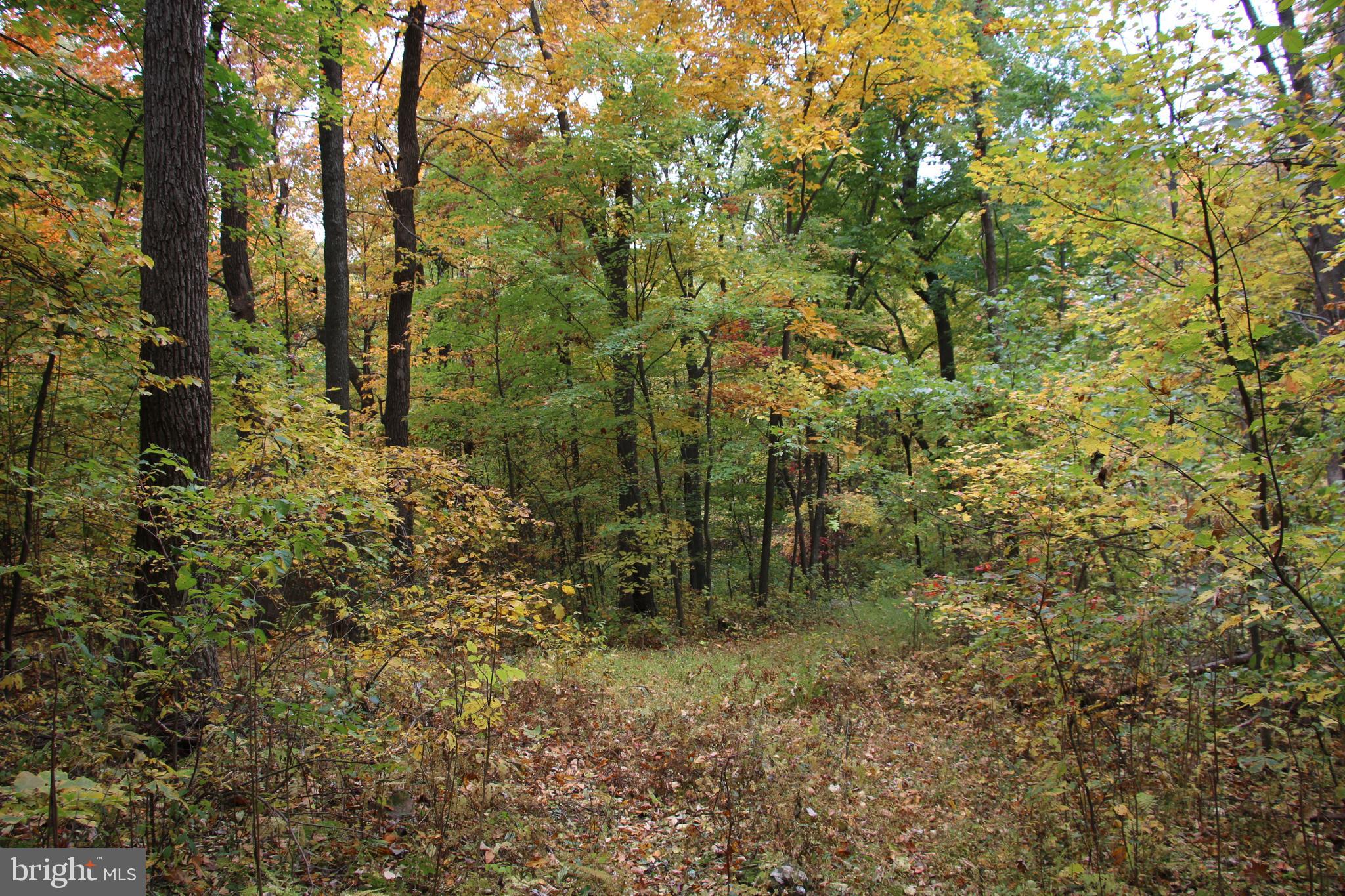 NORTH MOUNTAIN ESTATES - Land