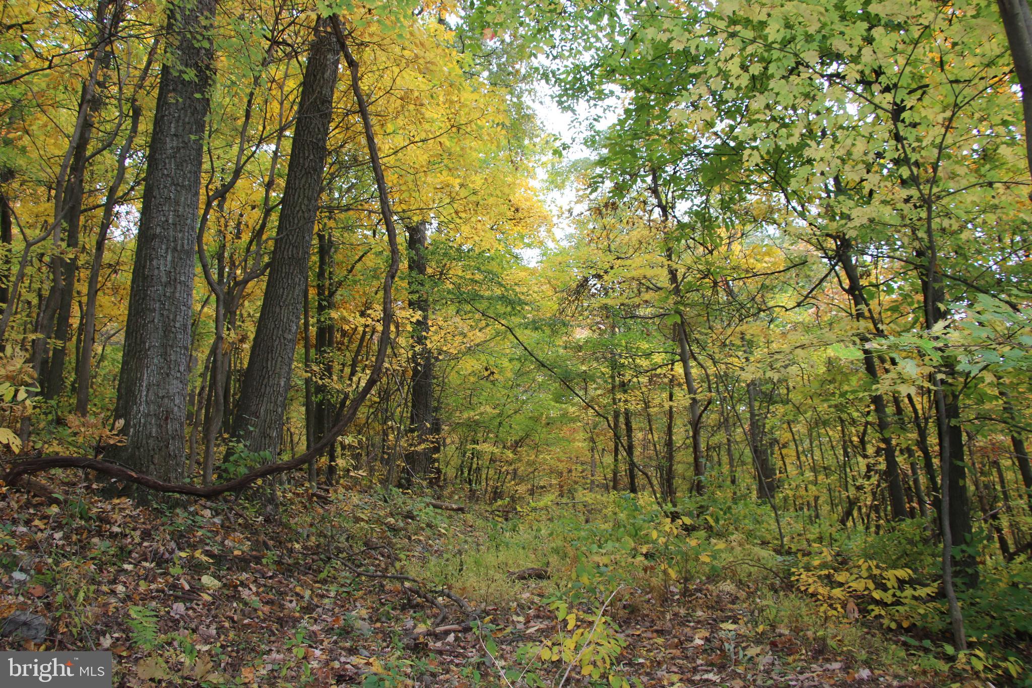 NORTH MOUNTAIN ESTATES - Land