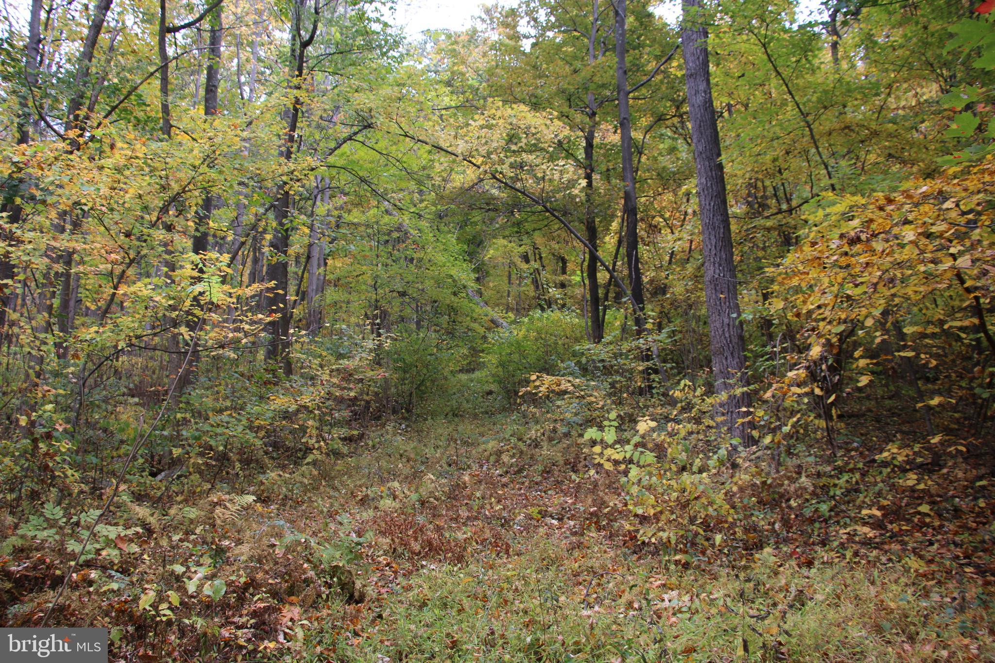 NORTH MOUNTAIN ESTATES - Land