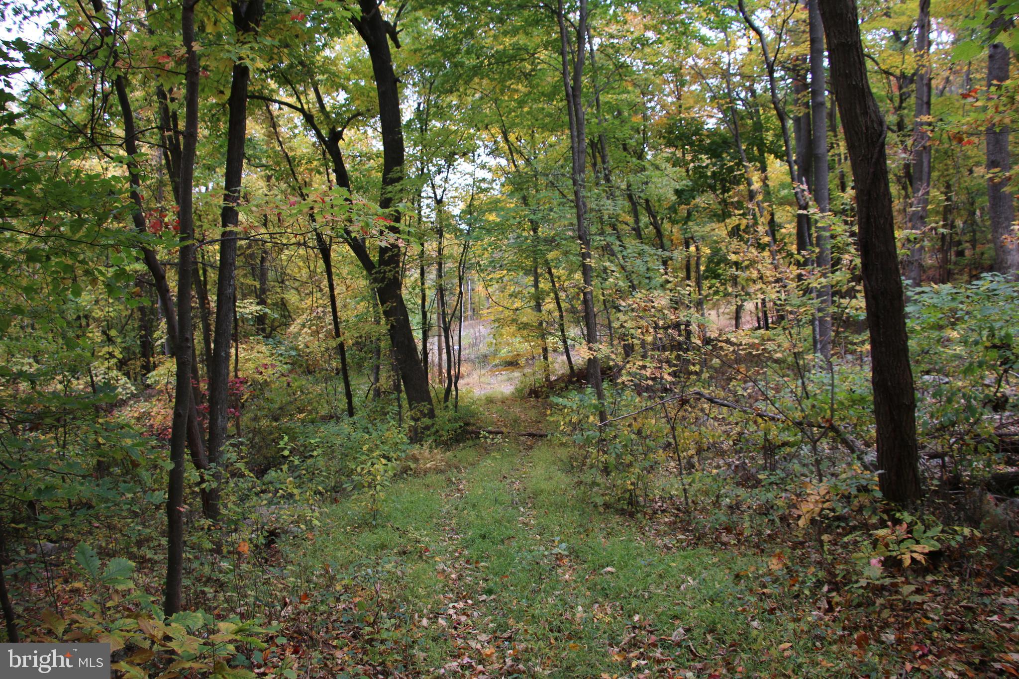 NORTH MOUNTAIN ESTATES - Land