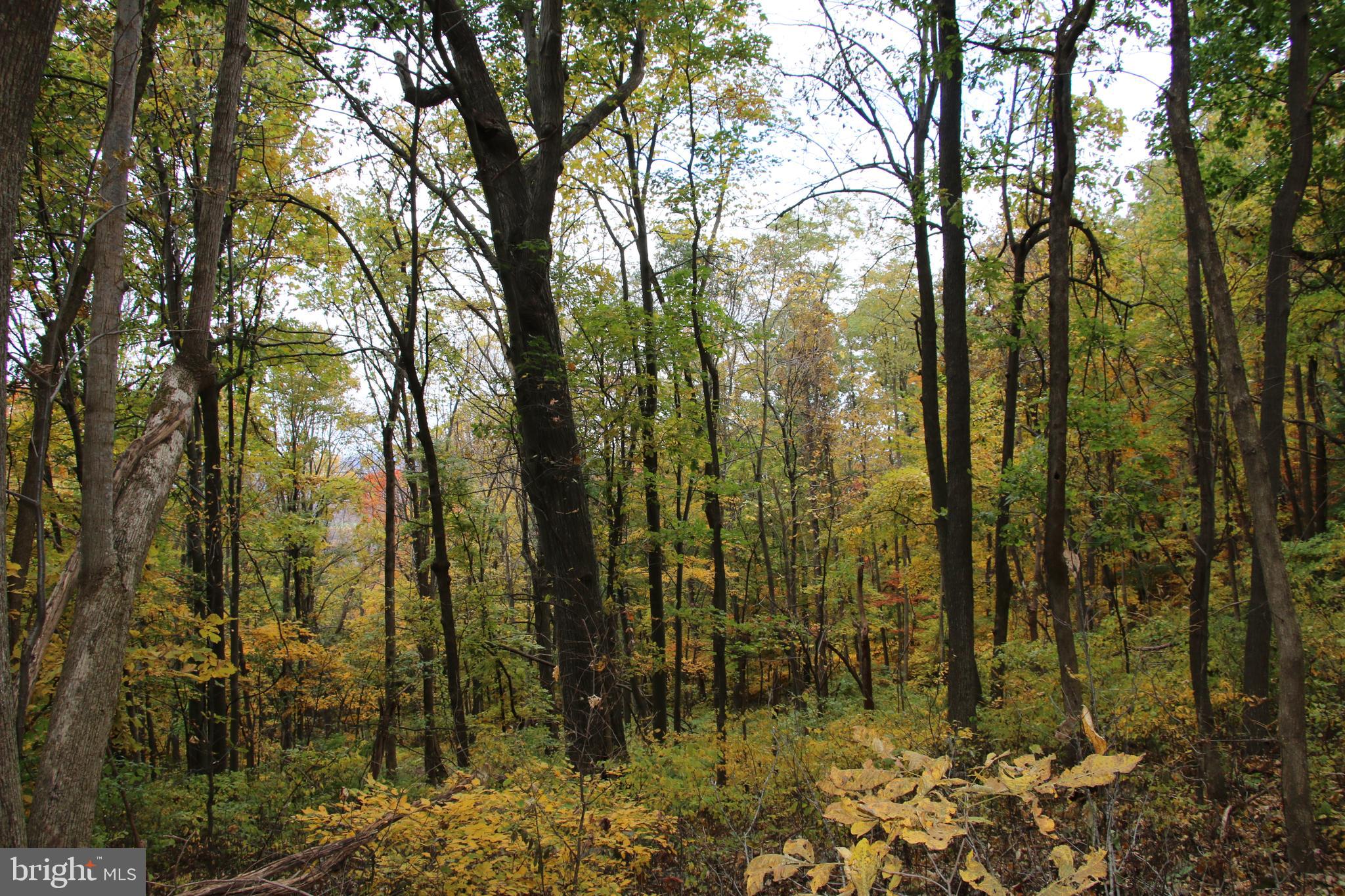 NORTH MOUNTAIN ESTATES - Land