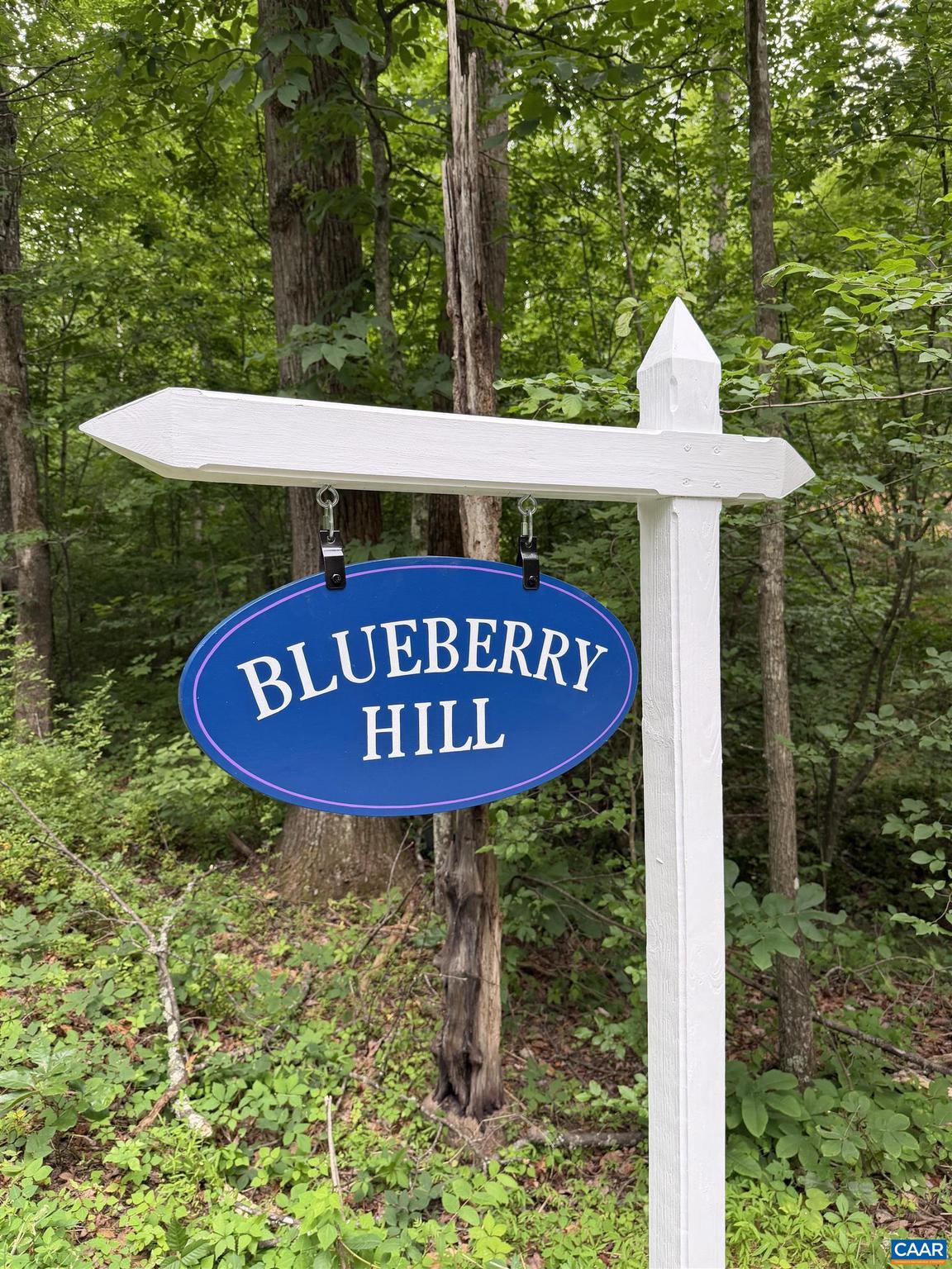 Blueberry Hill neighborhood sign hanging from a white post among trees.