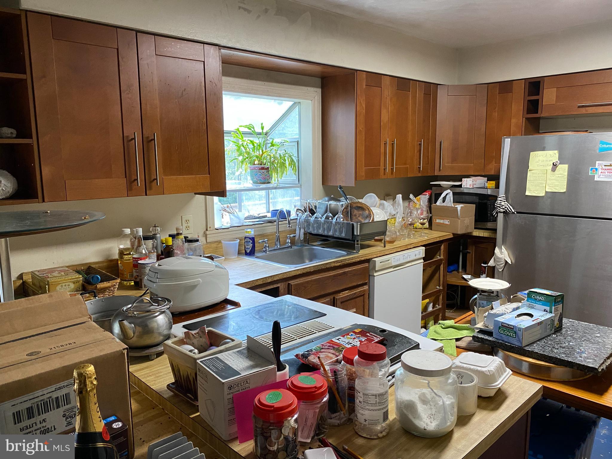 LAKE RIDGE - Residential