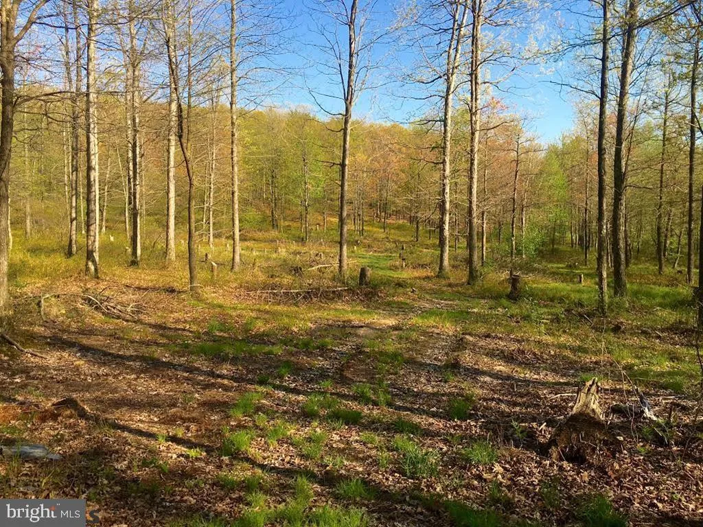 ON Greenbriar Road, Philipsburg, PA 16866