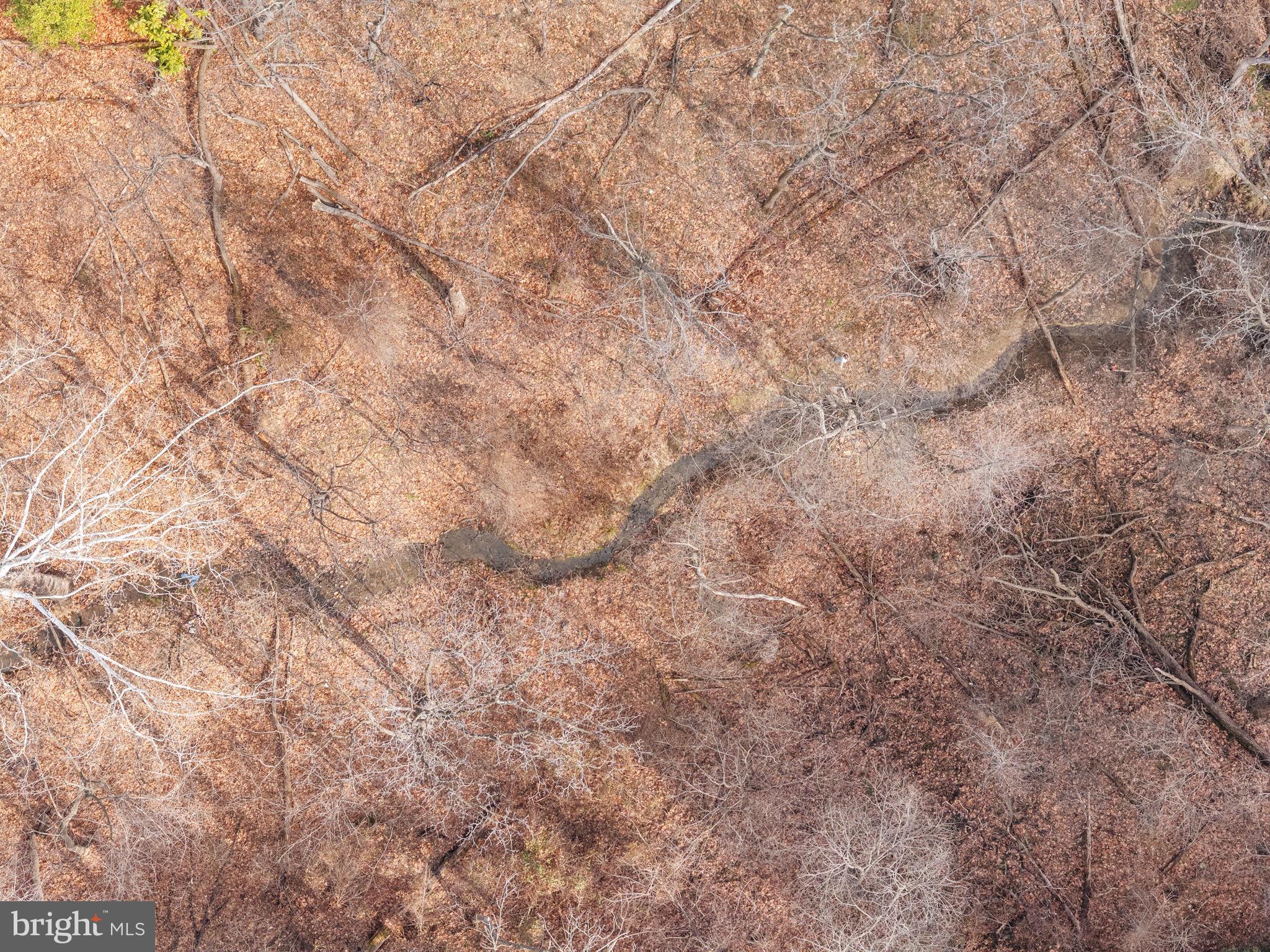 LOT 136 SENSENY ROAD