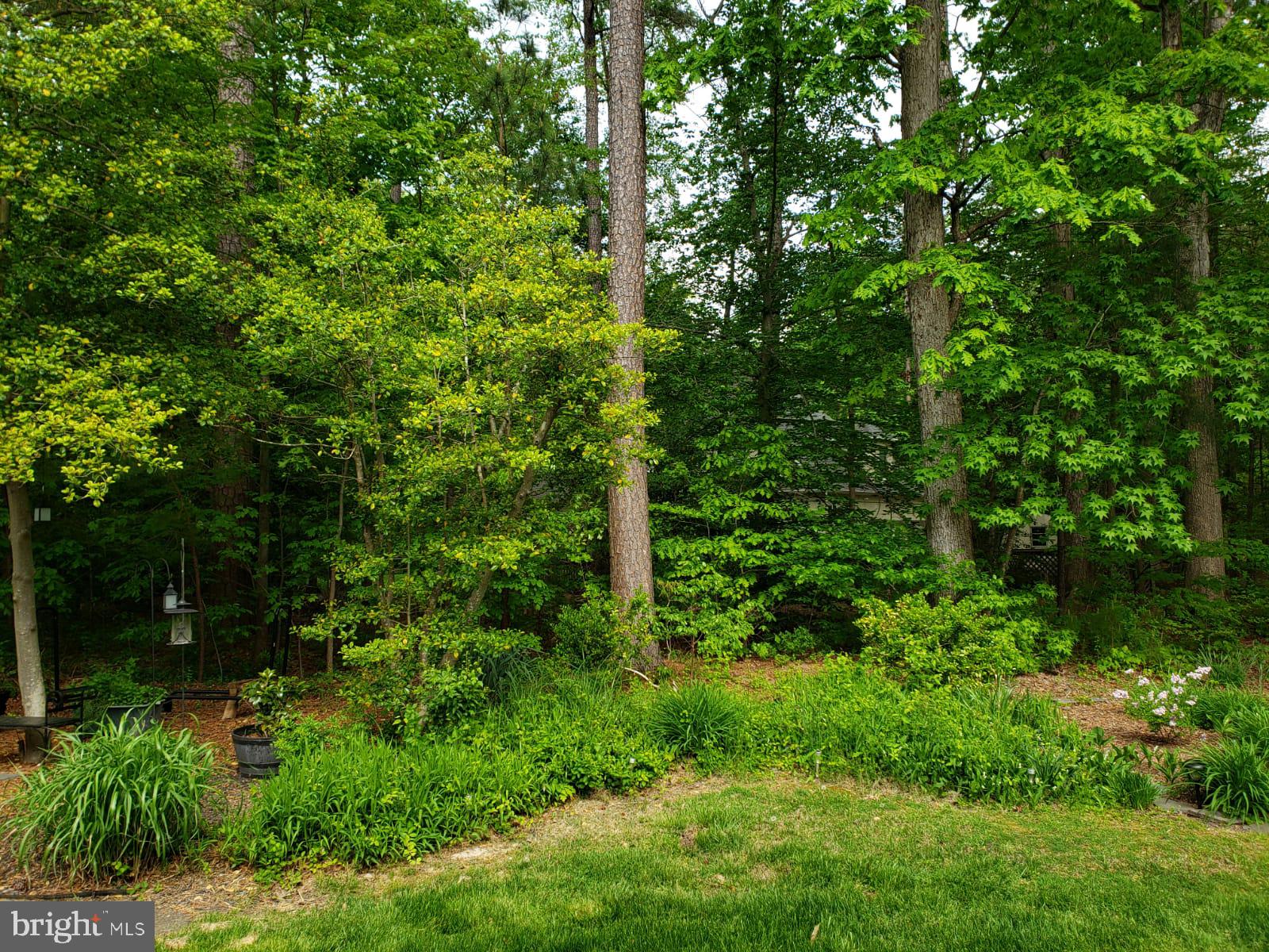 MARTINGHAM - Residential