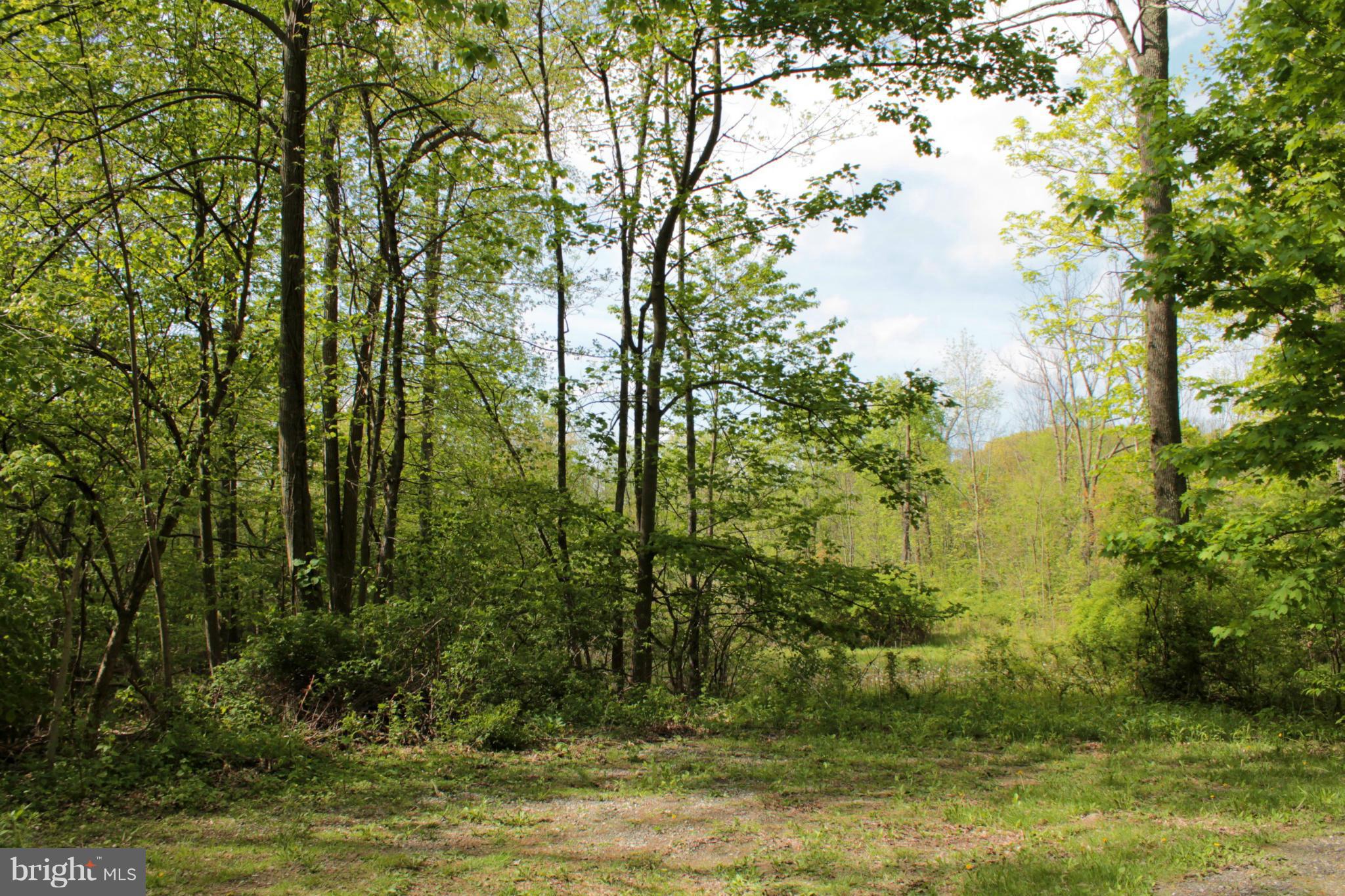 Beautiful 3-acre lot surrounded by forest. Offers level and gently sloped terrain. Lot will work for a walk-out lower level. Near Smithsburg MD, Frederick Cty line, Appalachian Trail access, and short drive to Catoctin Mountain State Park & Cunningham Falls State Park. Plat & perc approved. May need septic field re-plated due to storm water drainage. Call for details.