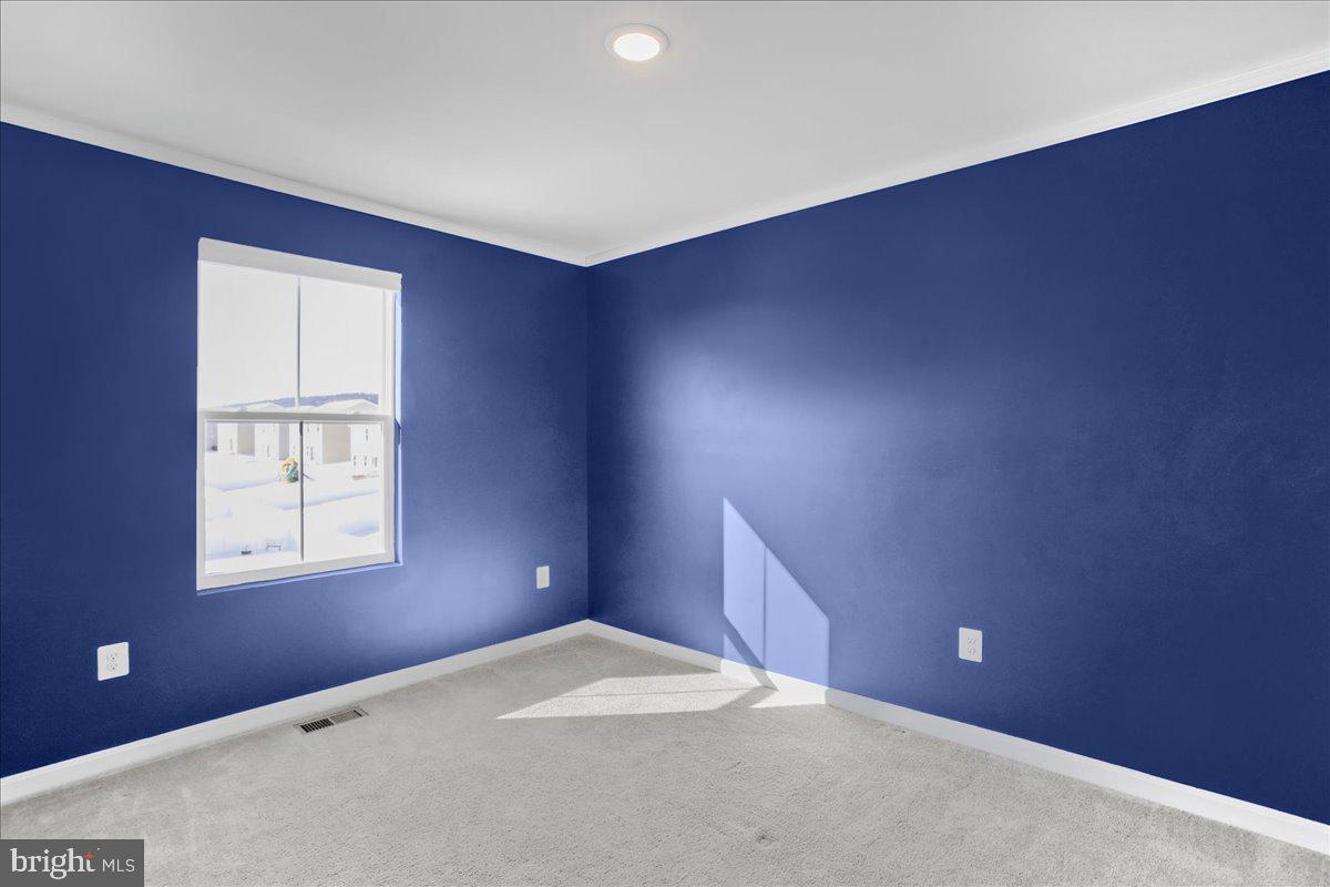 DILLON FARM - Residential