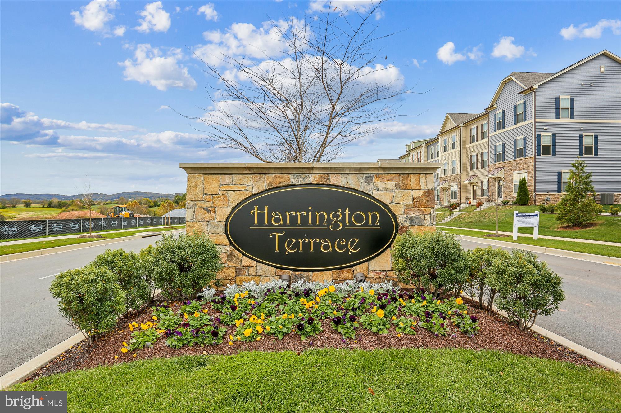 HARRINGTON TERRACE - Residential