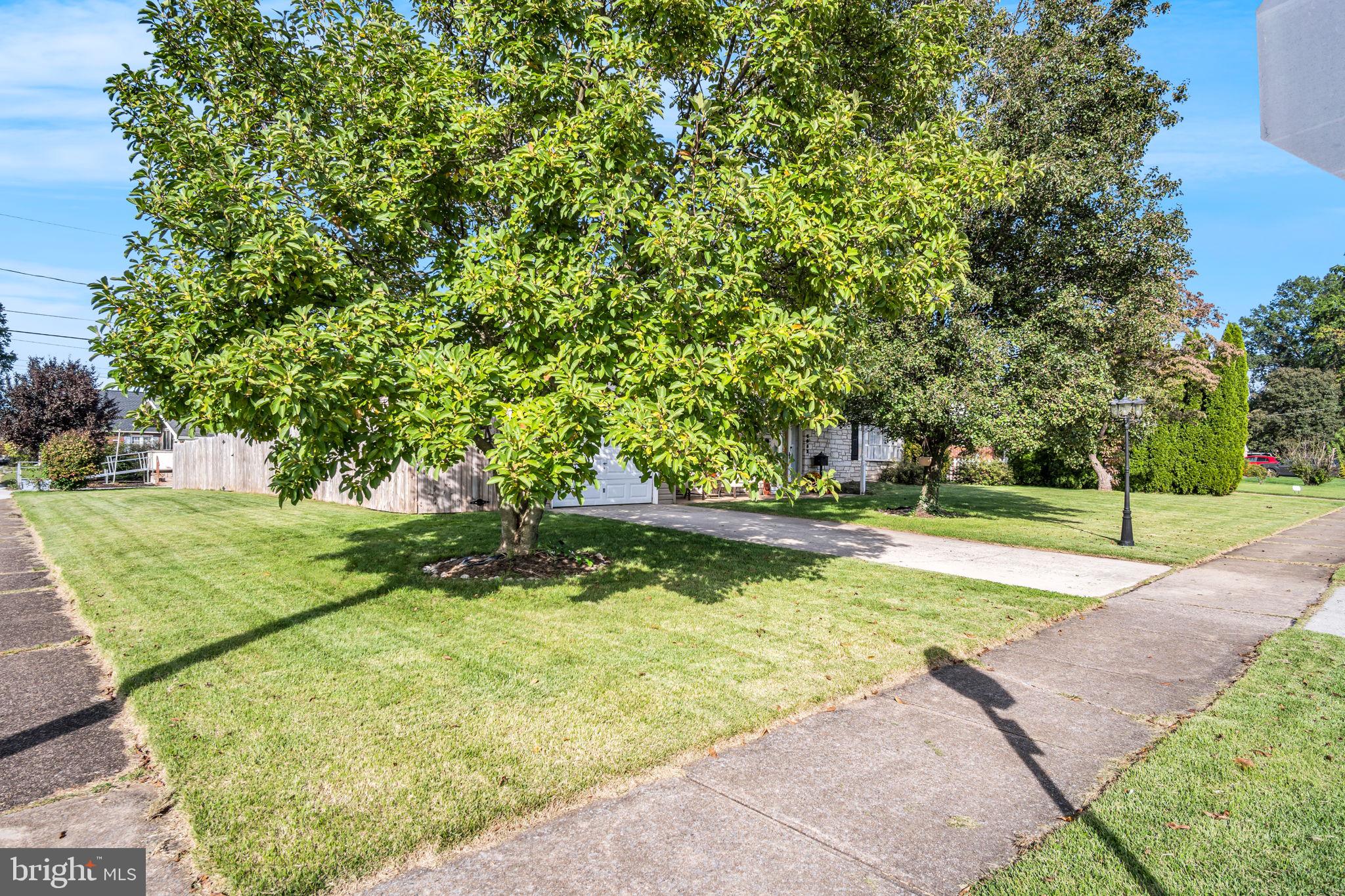 1053 SWARTHMORE ROAD