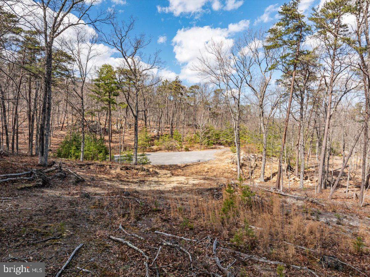 OLD MILL ESTATES - Land