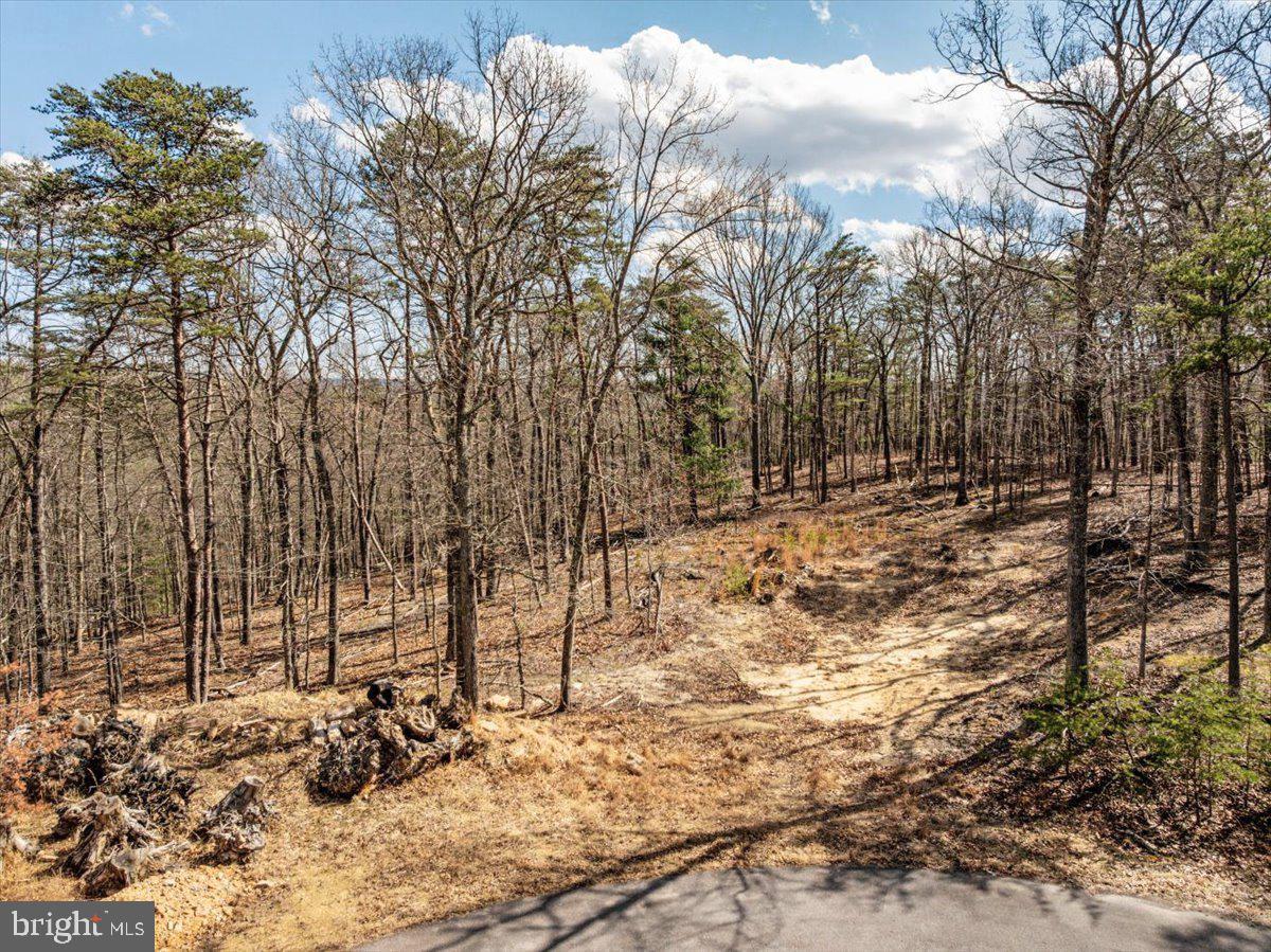 OLD MILL ESTATES - Land