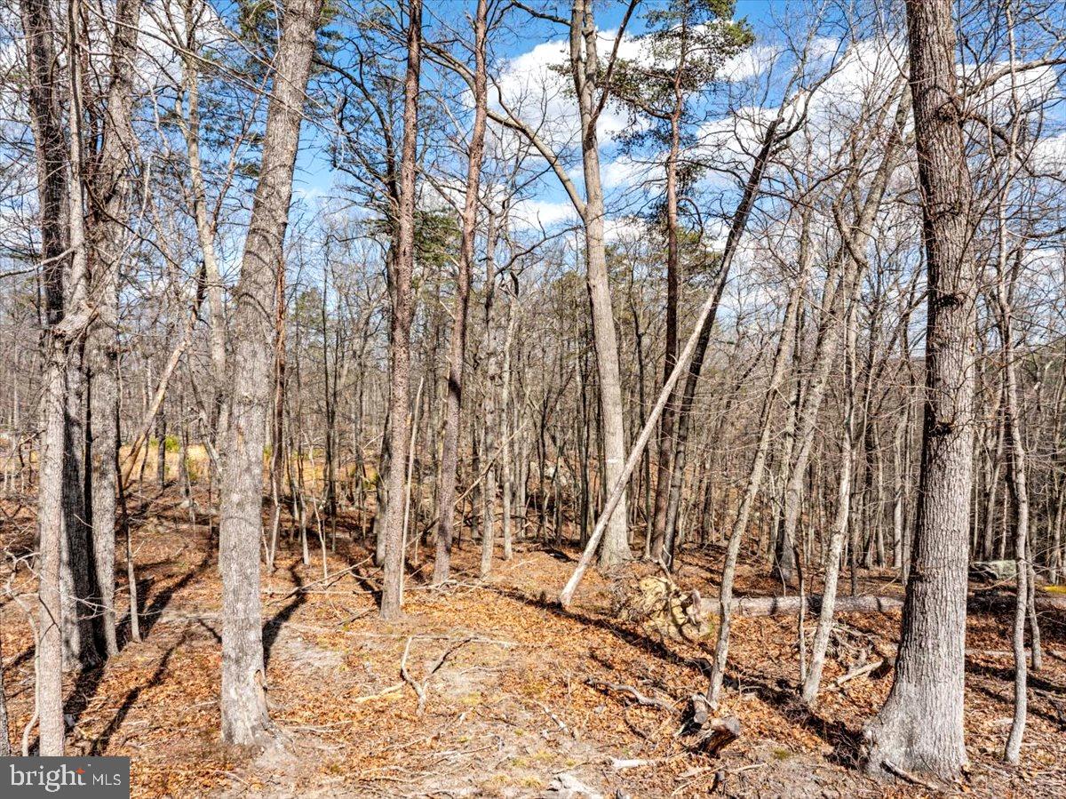 OLD MILL ESTATES - Land