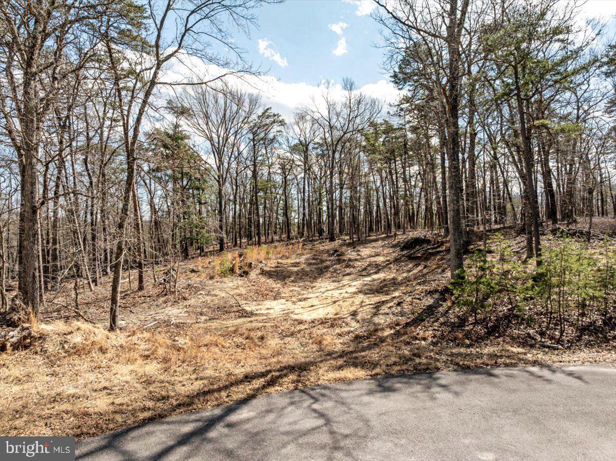 OLD MILL ESTATES - Land