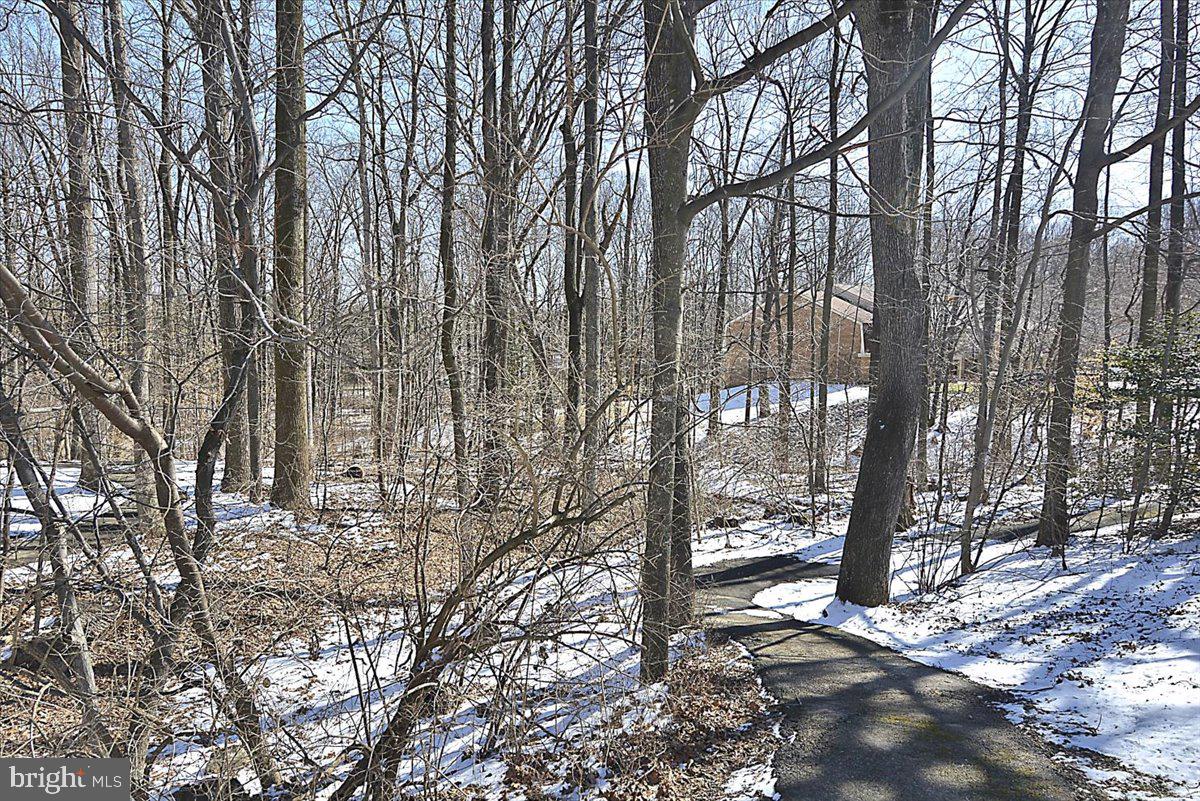 BURKE COVE - Residential