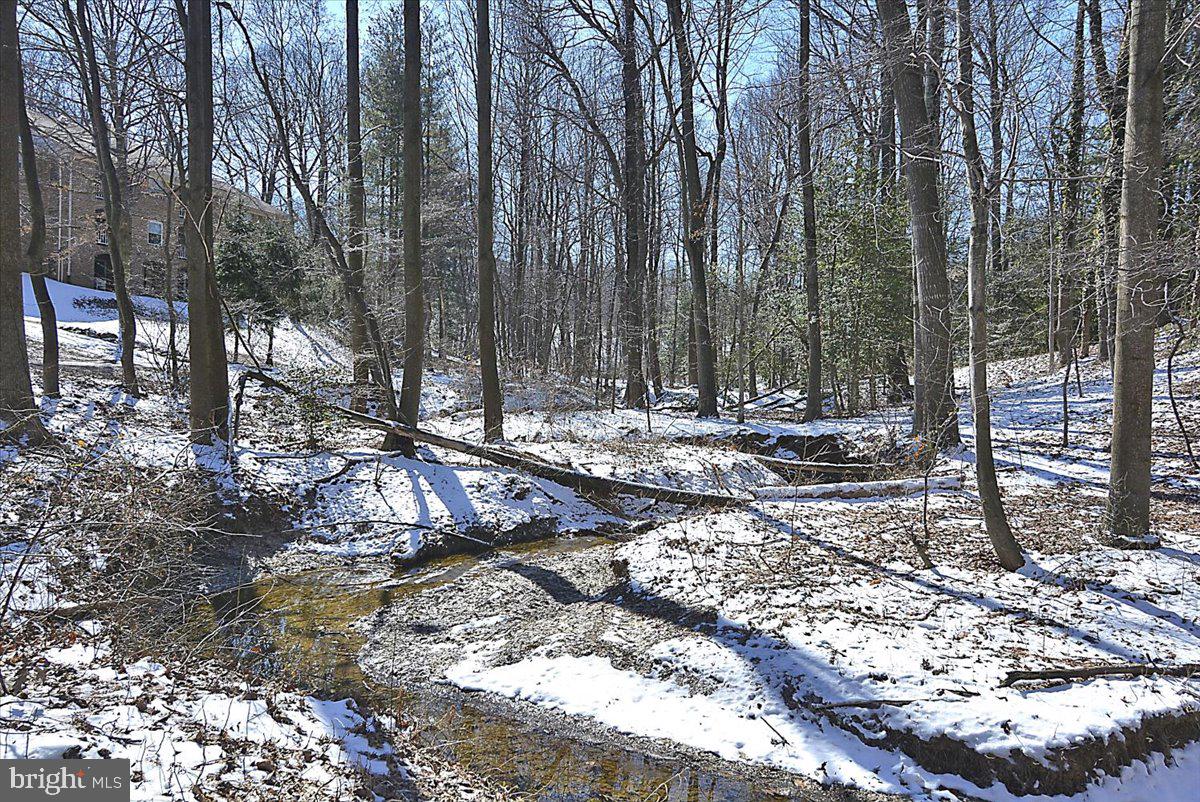 BURKE COVE - Residential