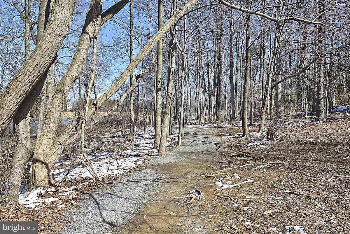 BURKE COVE - Residential