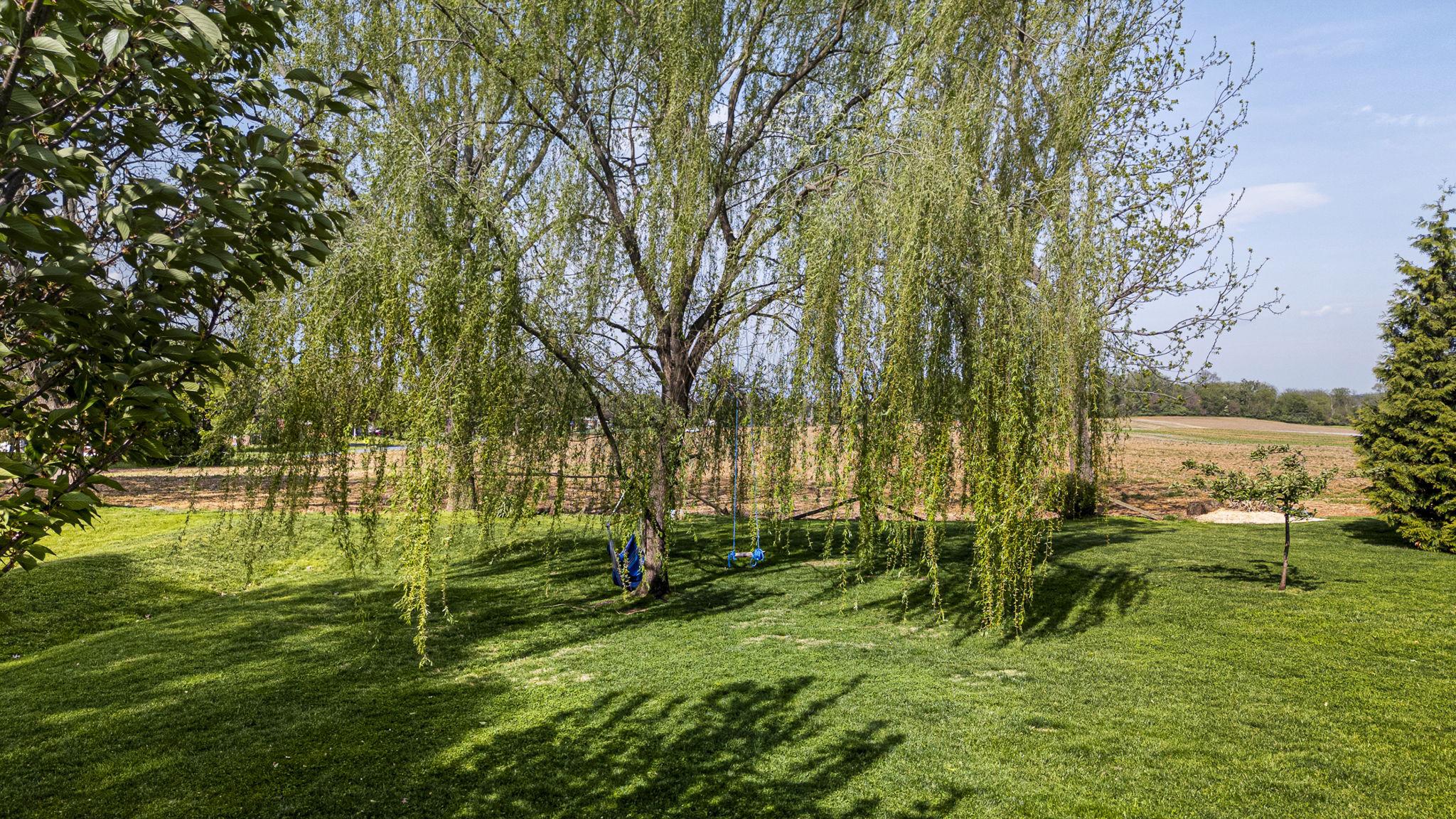 WILLOW GLEN - Residential
