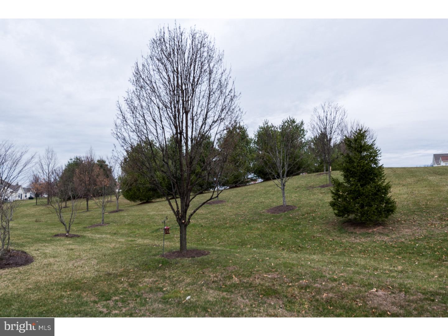 OVATIONS AT ELK VIEW - Residential