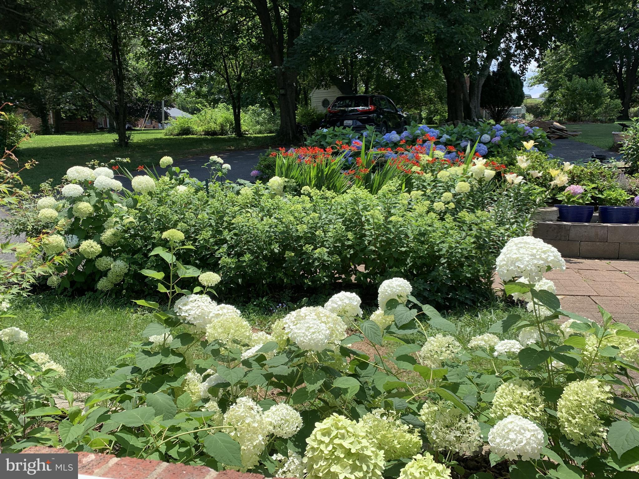 DAMASCUS OUTSIDE - Residential