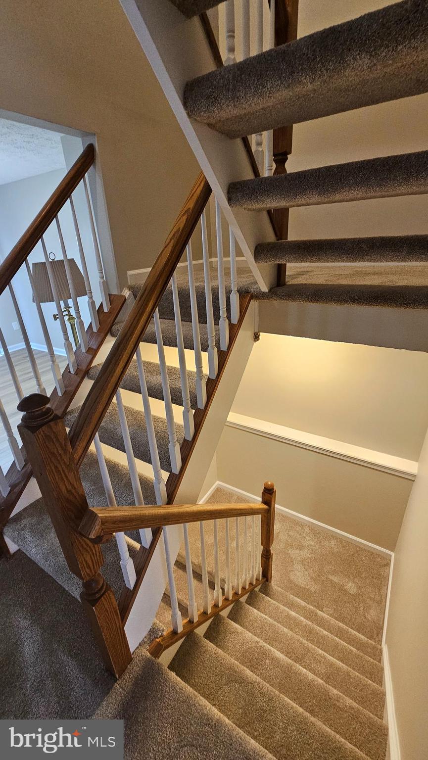 CHESTNUT HILL COVE - Residential Lease