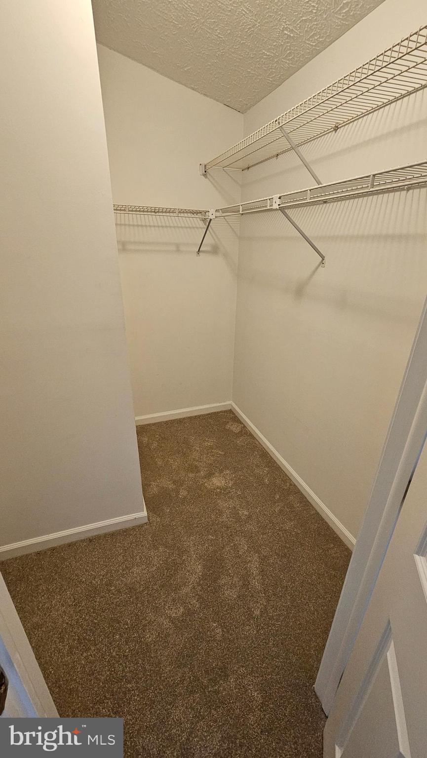 CHESTNUT HILL COVE - Residential Lease