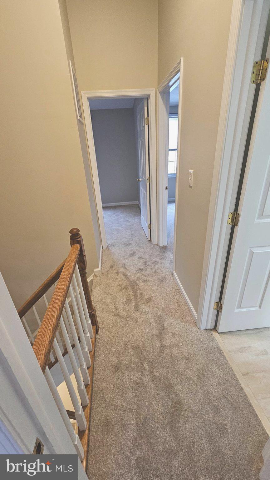 CHESTNUT HILL COVE - Residential Lease