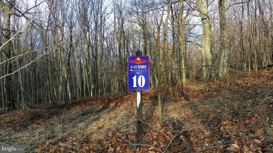 A rare opportunity to own 4.12 acres of peaceful, build-ready land. This beautiful property features a private well already on site and a percolation test for septic on file with the county, saving you time and money. Tucked away in a quiet, serene setting, this is the perfect place to build the home you’ve been dreaming of.

While it’s bittersweet for our family to let this property go, life has taken us in a different direction—creating an incredible opportunity for the next owner. Our loss truly is your win. Priced to sell, this piece of heaven offers privacy, tranquility, and plenty of room to enjoy the outdoors.