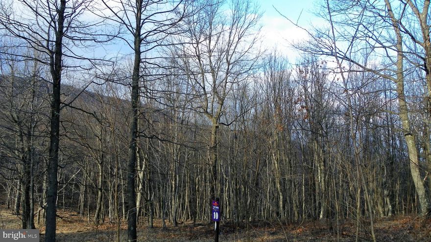 A rare opportunity to own 4.12 acres of peaceful, build-ready land. This beautiful property features a private well already on site and a percolation test for septic on file with the county, saving you time and money. Tucked away in a quiet, serene setting, this is the perfect place to build the home you’ve been dreaming of.

While it’s bittersweet for our family to let this property go, life has taken us in a different direction—creating an incredible opportunity for the next owner. Our loss truly is your win. Priced to sell, this piece of heaven offers privacy, tranquility, and plenty of room to enjoy the outdoors.