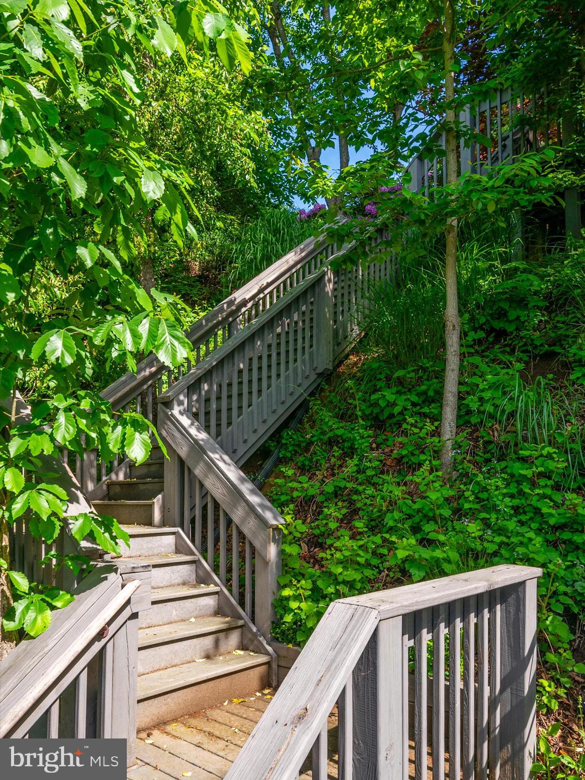 THE DOWNS - Residential